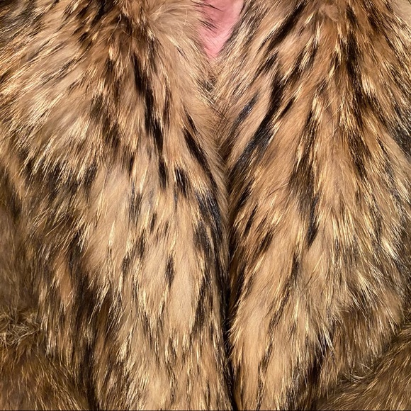 Vintage Scandinavian Fur Company Authentic Raccoon Coat - Picture 4 of 6